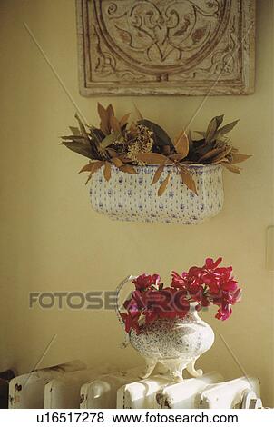 Still-Life of red geraniums View Large Photo Image Stock Photo - Still-Life of red geraniums. Fotosearch
