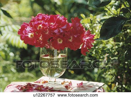 Stock Photo - Still-Life of red roses in glass vase. Fotosearch