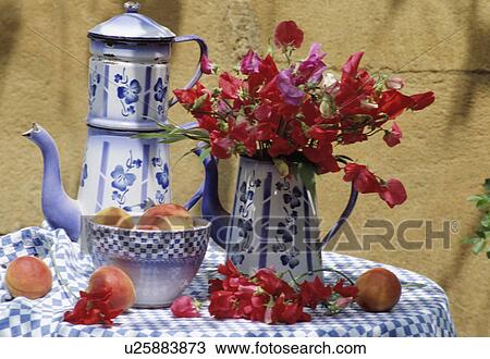 Stock Image - Still-life of red sweetpeas in blue+white jug. Fotosearch