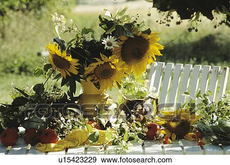Still-life of sunflowers in vase View Large Photo Image Stock Photo - Still-life of sunflowers in vase. Fotosearch