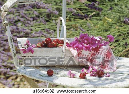 Still-Life of sweetpeas View Large Photo Image Stock Image - Still-Life of sweetpeas. Fotosearch