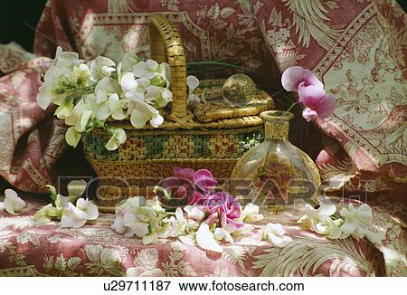 Stock Photo - Still-Life of sweetpeas. Fotosearch
