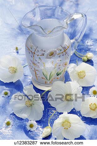 Stock Photo - Still-Life of white flowers and glass jug. Fotosearch