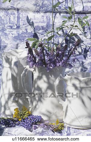 Stock Photography - Still-Life of white jugs and bluebells. Fotosearch