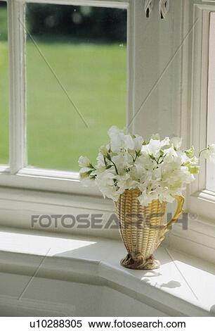 Stock Photography - Still-Life of white sweetpeas in vase. Fotosearch