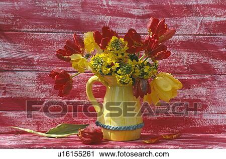 Still-Life of yellow and red spring flowers in yellow jug View Large Photo Image Stock Image - Still-Life of yellow and red spring flowers in yellow jug. Fotosearch