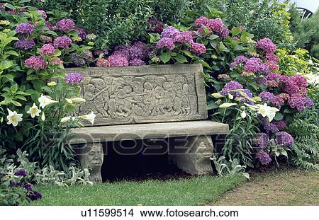 Picture - Stone bench and pink hydrangeas in country garden in summer. Fotosearch