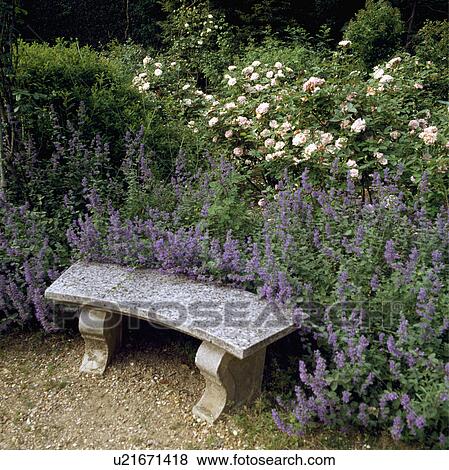Stock Photo -  Stone bench in country garden in summer. Fotosearch