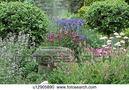 Stone birdbath among flowering plants in herbaceous border in large country garden in summer View Large Photo Image Stock Image - Stone birdbath among flowering plants in herbaceous border in large country garden in summer. Fotosearch