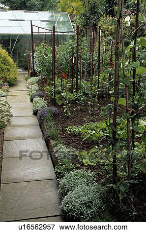 Stock Photo - Stone path in vegetable garden with plant supports. Fotosearch