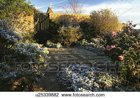 Stone paved path in country garden in winter View Large Photo Image Stock Image - Stone paved path in country garden in winter. Fotosearch