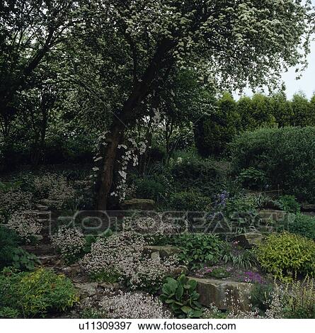 Stock Photo - Stone steps in country garden in spring. Fotosearch