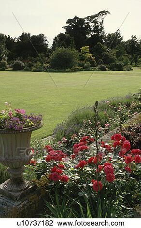 Stock Image - Stone urn beside red shrub roses in summer border beside large lawn in country garden. Fotosearch