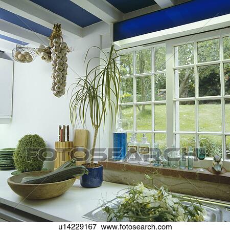 Stock Photo - String of garlic on white beam above houseplants and basket of cucumbers on worktop in front of kitchen window. Fotosearch