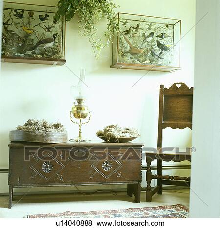 Stock Photo - Stuffed birds in glass cases above antique carved wooden chest and chair in country hall. Fotosearch