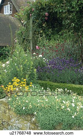 Stock Photo - Summer flowering plants in garden of traditional country house in summer. Fotosearch