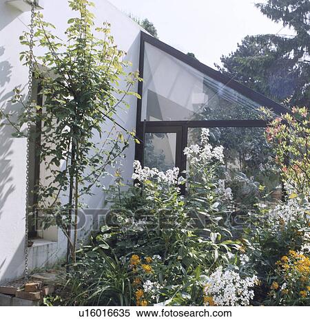 Summer flowering plants in garden border of modern house in summer View Large Photo Image Stock Photography - Summer flowering plants in garden border of modern house in summer. Fotosearch