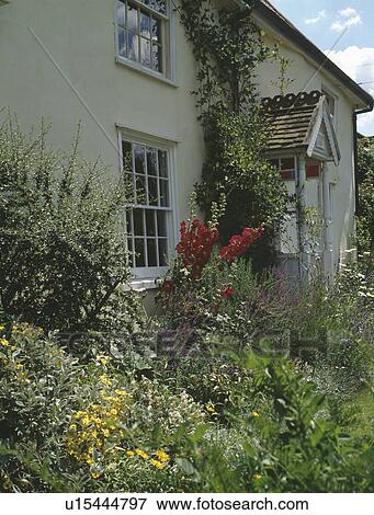 Stock Photo - Summer garden border in front of country cottage. Fotosearch