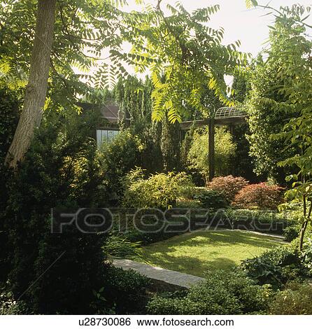 Stock Photograph - Sunken lawn surrounded by trees in summer country garden. Fotosearch