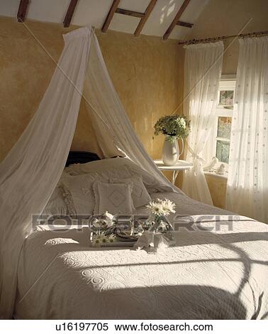 Sunny yellow and white bedroom with white voile curtains. View Large Photo Image Stock Photography - Sunny yellow and white bedroom with white voile curtains.. Fotosearch