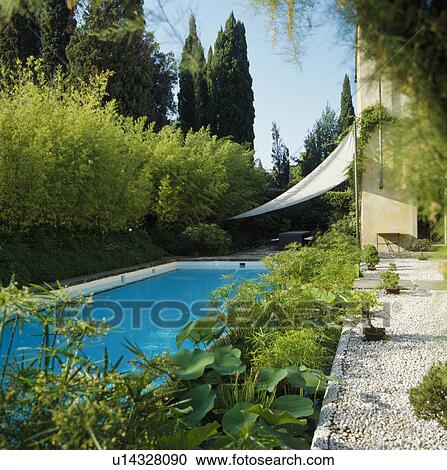 Swimming pool in Italian country garden View Large Photo Image Stock Image - Swimming pool in Italian country garden. Fotosearch