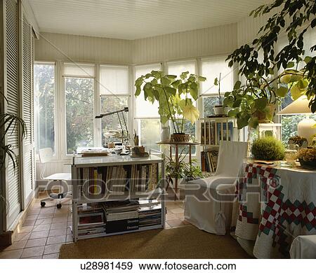 Stock Photo - Tall houseplants and central bookcase in home office with white blinds on windows. Fotosearch