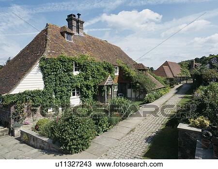 Stock Image - Traditional ivy-clad country cottage with paved path and large garden. Fotosearch