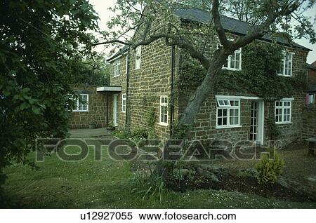 Stock Photography - Tree on lawn in front of stone cottage with small extension. Fotosearch