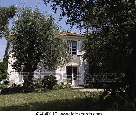 Tree on lawn in front of traditional country house in France with white shutters View Large Photo Image Stock Image - Tree on lawn in front of traditional country house in France with white shutters. Fotosearch