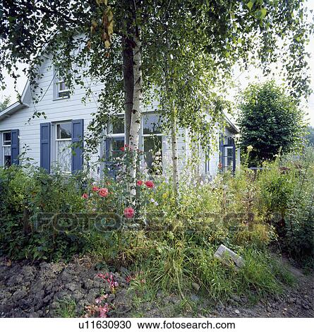 Stock Image - Trees in country garden in summer. Fotosearch