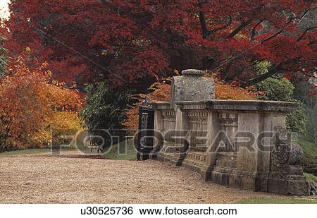 Stock Photograph - Trees in large country garden in Autumn. Fotosearch
