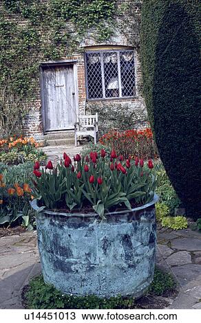 Tulips in large copper container in spring garden View Large Photo Image Stock Image - Tulips in large copper container in spring garden. Fotosearch