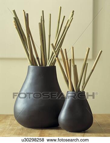 Stock Photo - Two Matching Vases with Bamboo Sticks.. Fotosearch