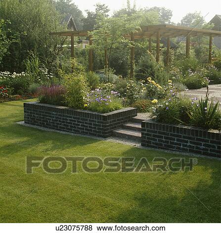 Stock Photo - View from the lawn of a suburban garden over raised beds planted with perennials leading on to a large pergola . Fotosearch