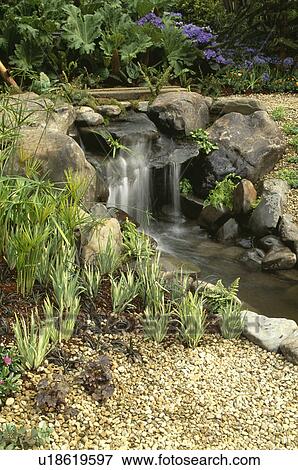 Super Vijver, met, waterval, in, land tuin Stock Foto | u18619597 XS-37