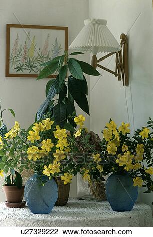 Wall-lamp above yellow flowers in blue vases on table View Large Photo Image Stock Image - Wall-lamp above yellow flowers in blue vases on table. Fotosearch