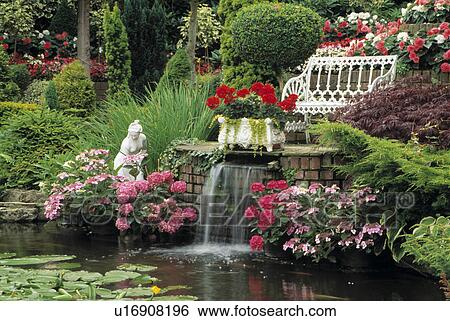 Stock Photograph - Water Feature in Garden with Pond and Waterfall. White seat with pink hydrangeas, begoniasand geraniums.. Fotosearch