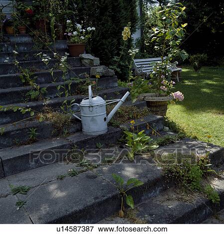 Stock Photo - Watering can on stone steps in country garden in summer. Fotosearch
