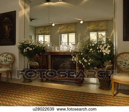 White daisies in planters on either side of fireplace in mirrored wall in modern hall with patterned carpet and antique chairs View Large Photo Image Stock Photo - White daisies in planters on either side of fireplace in mirrored wall in modern hall with patterned carpet and antique chairs. Fotosearch