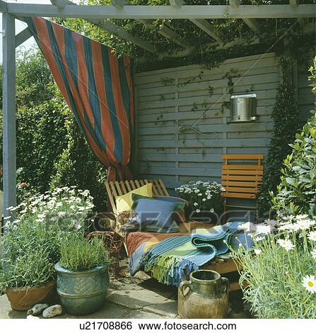 White daisies in pots in front of chaiselongue in wooden arbour View Large Photo Image Stock Photograph - White daisies in pots in front of chaiselongue in wooden arbour. Fotosearch