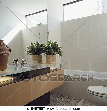 White tiled architectural bathroom with glass counter over wooden storage and high level windows. View Large Photo Image Stock Photo - White tiled architectural bathroom with glass counter over wooden storage and high level windows.. Fotosearch