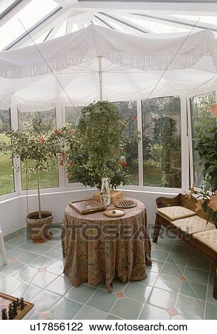 White umbrellas in conservatory View Large Photo Image Stock Image - White umbrellas in conservatory. Fotosearch