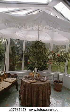 White umbrellas in conservatory View Large Photo Image Stock Photo - White umbrellas in conservatory. Fotosearch