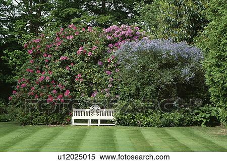Stock Photography - White wooden bench on lawn in large country garden in spring. Fotosearch