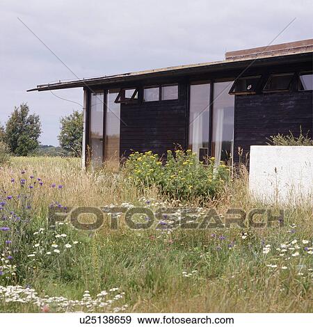 Wild garden and modern house in the country in summer View Large Photo Image Stock Photo - Wild garden and modern house in the country in summer. Fotosearch