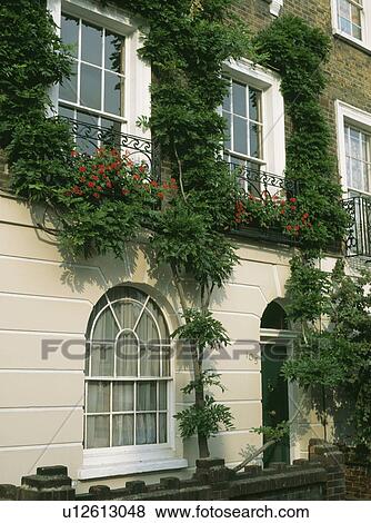 Stock Photo - Wisteria on traditional Victorian townhouse with red geraniums on balconies. Fotosearch