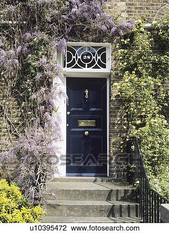 Stock Image - Wisteria over black front door on traditional Victorian house. Fotosearch