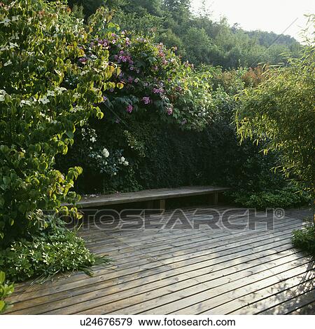 Stock Photo -  Wooden bench on decking in country garden. Fotosearch
