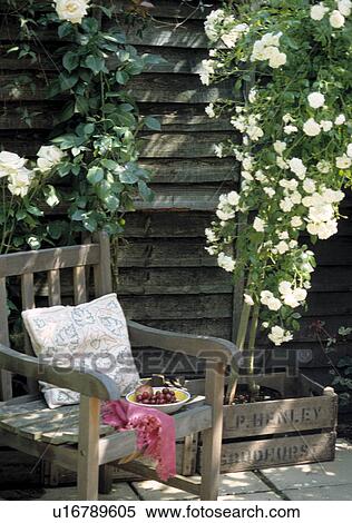 Stock Photography - Wooden chair with white roses on wooden fence. Fotosearch