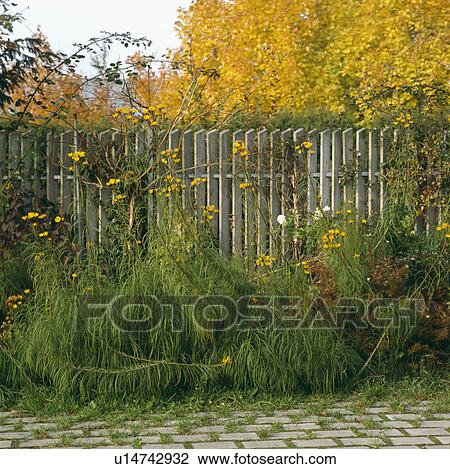 Wooden fence in country garden in autumn View Large Photo Image Stock Image - Wooden fence in country garden in autumn. Fotosearch